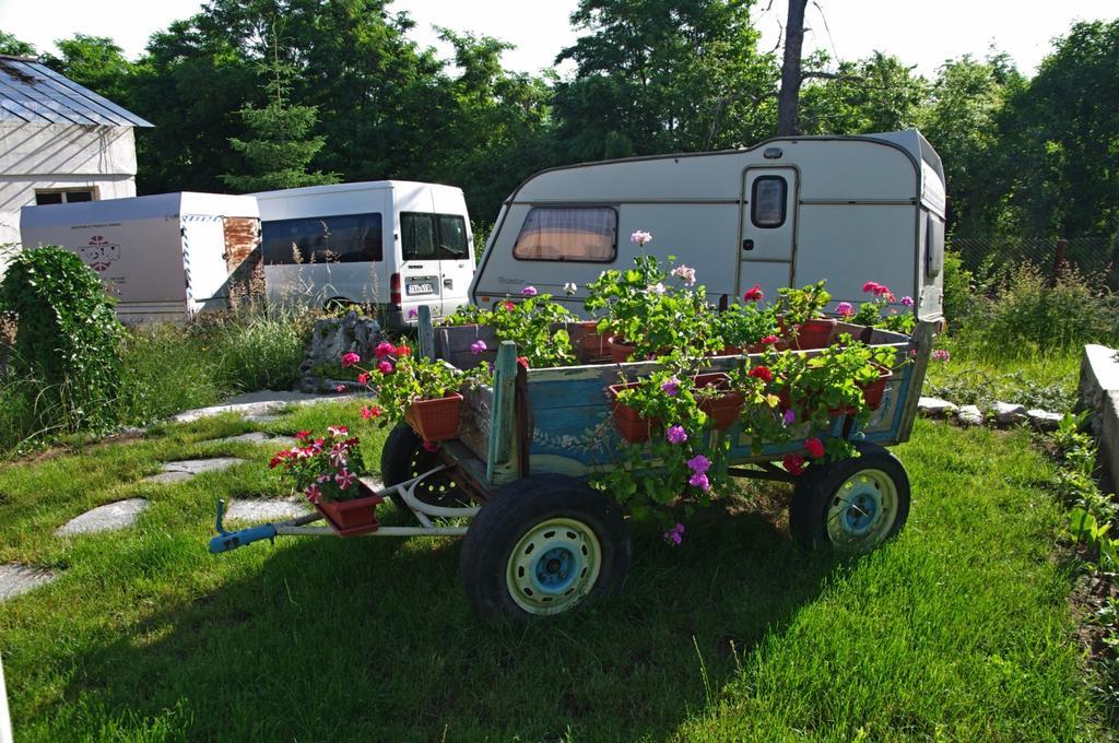 Camping Verila Sapareva Banya Exterior photo