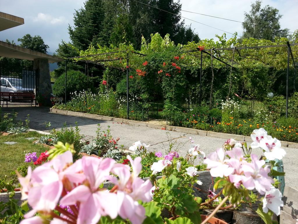 Camping Verila Sapareva Banya Exterior photo